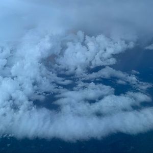 Meet your Posher, Bailey